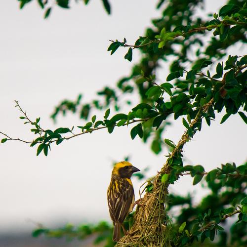 Photo #4855979