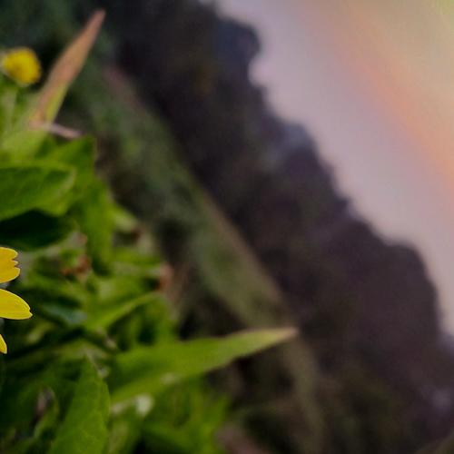 Photo #4856561
