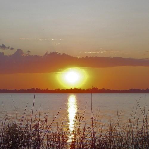 Photo #4856745
