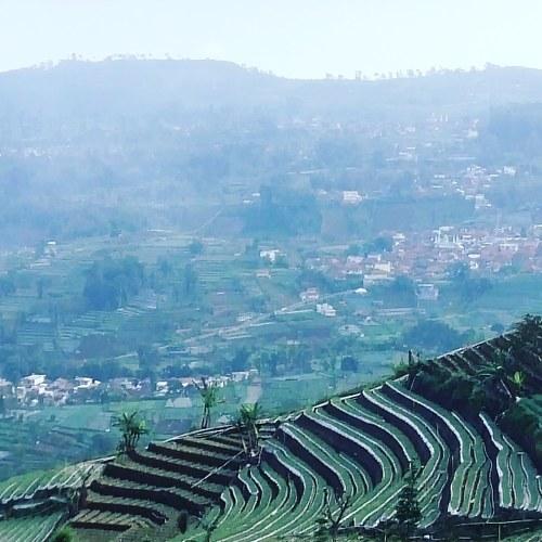 Photo #4856793