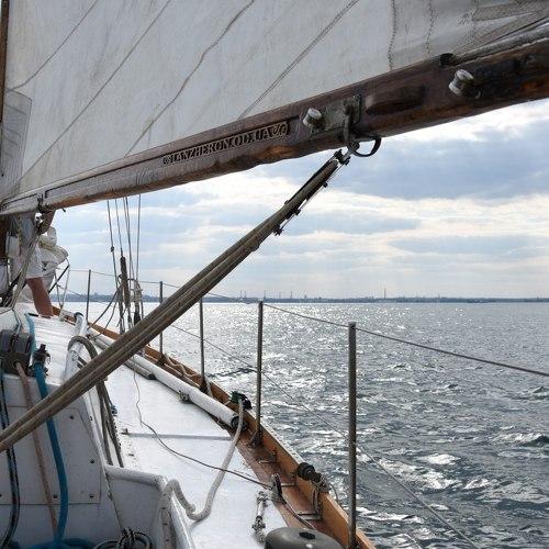Photo #4856811