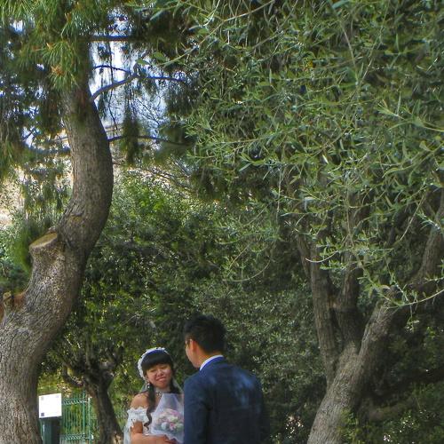 Photo #4856820
