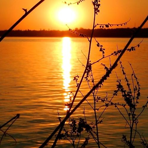 Photo #4856845