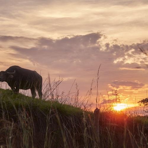 Photo #4857764