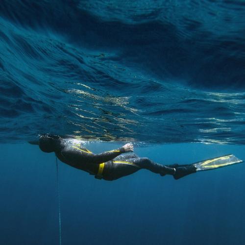 Photo #4857775