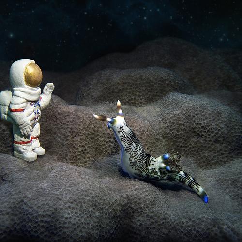 The first contact