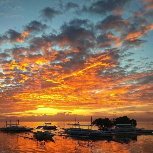 Photo #4857957
