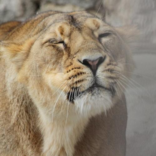 Photo #4858330