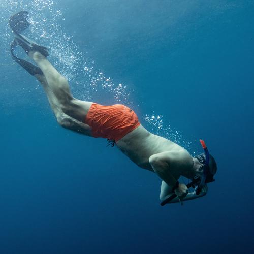 Photo #4858342