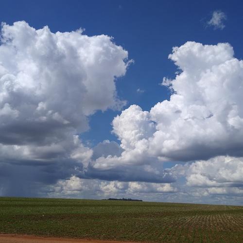 Photo #4858856