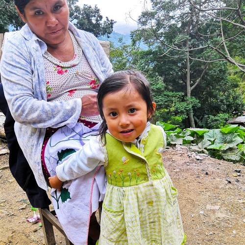 Photo #4858859