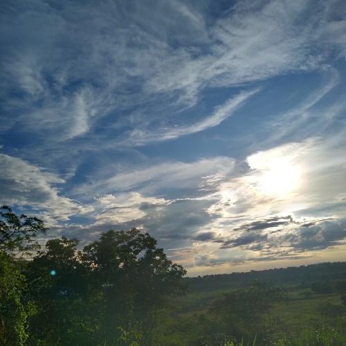 Photo #4858889