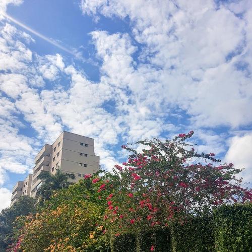 Photo #4859176