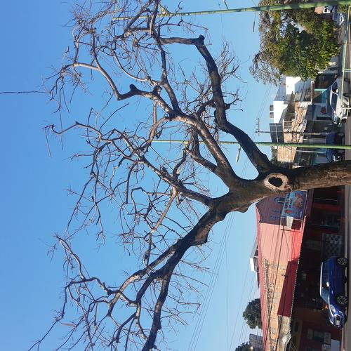 Photo #4859186