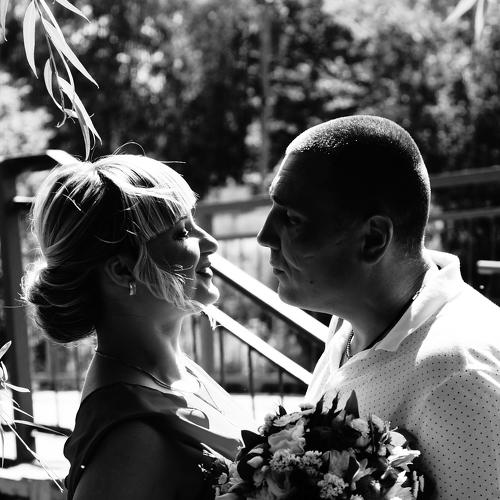 Photo #4860167