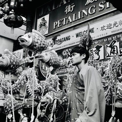 Photo #4860865