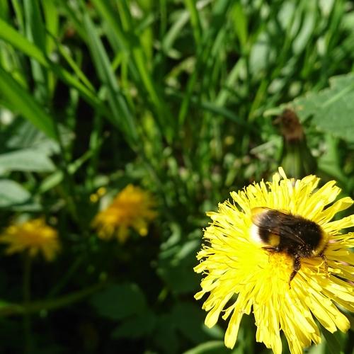 Photo #4860876