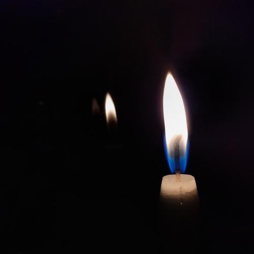 Photo #4861043