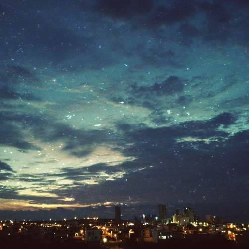 Photo #4861283