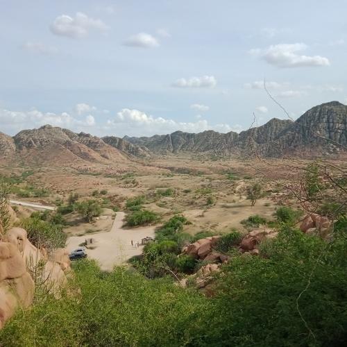 Photo #4861529