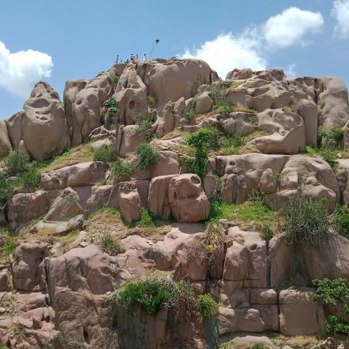 Photo #4861553