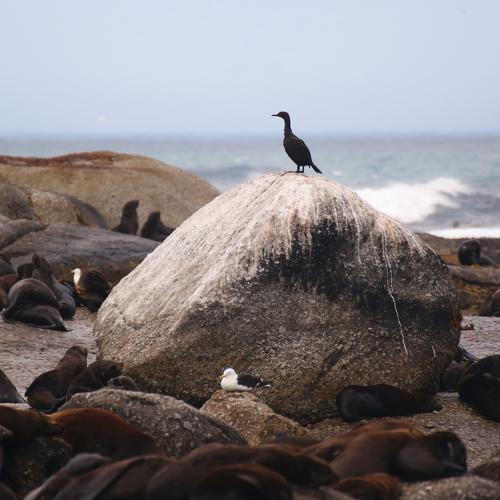 Photo #4861660