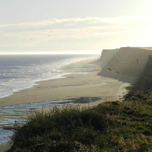 Photo #4862051