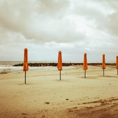 Photo #4862662