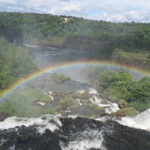 Photo #4863011