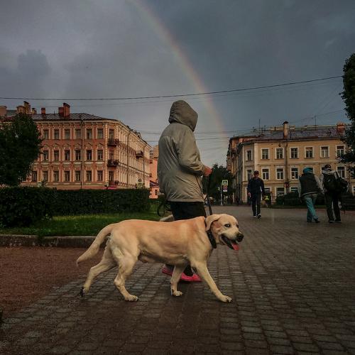 Photo #4863216