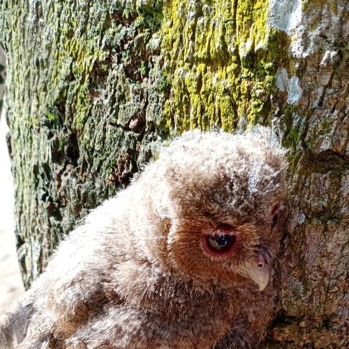 Photo #4863366