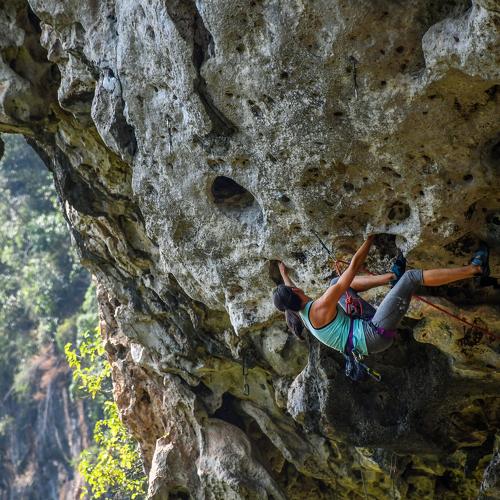Photo #4863583