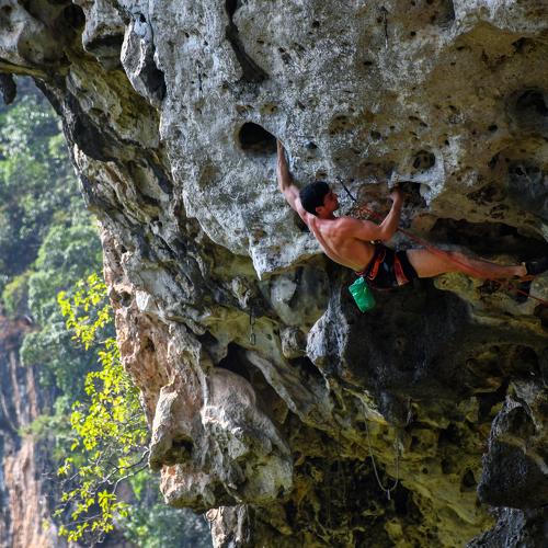 Photo #4863594