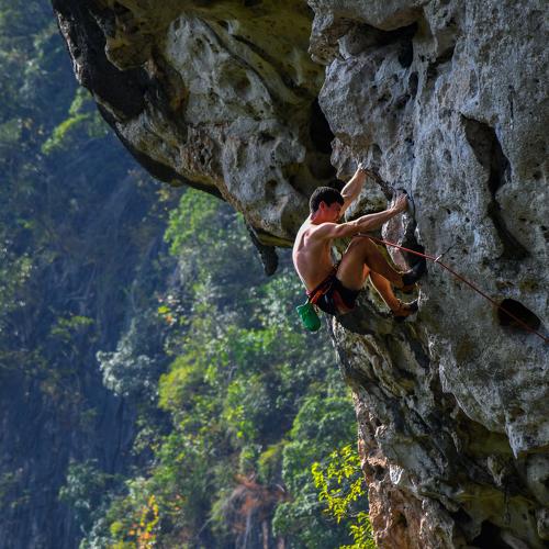 Photo #4863595