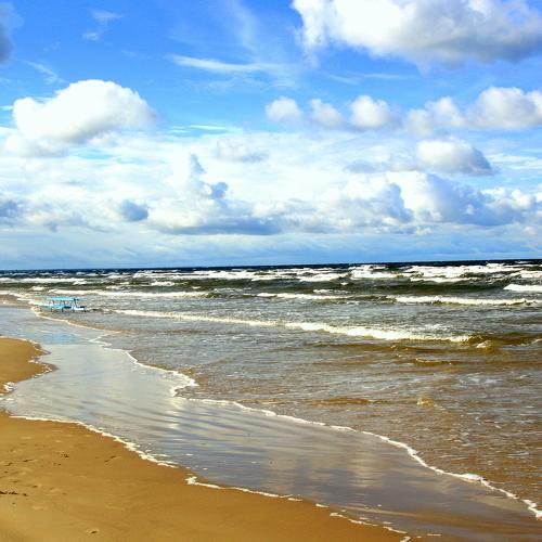 Photo #4864004
