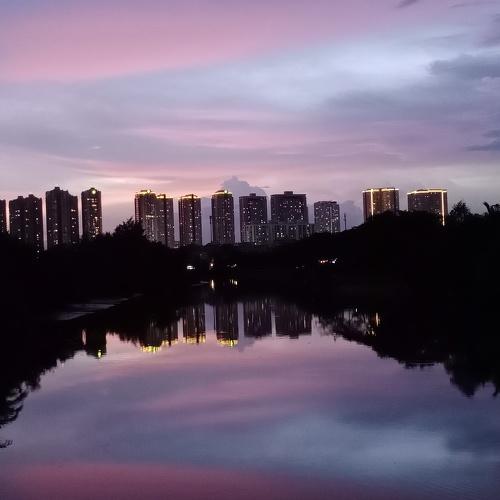 Photo #4864605