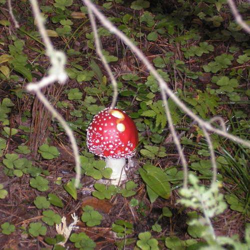 Photo #4864757