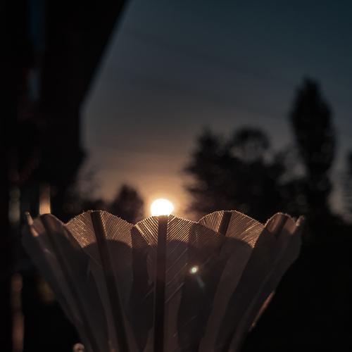 Sunset through shuttlecock