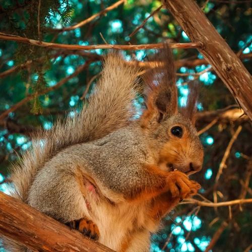 Photo #4865373