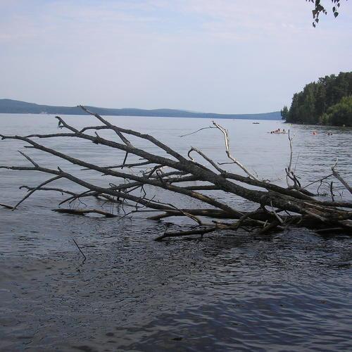 Photo #4865392
