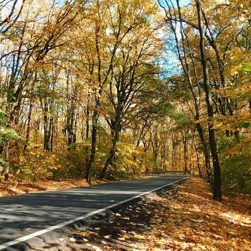 Photo #4865430