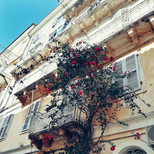 Photo #4865486