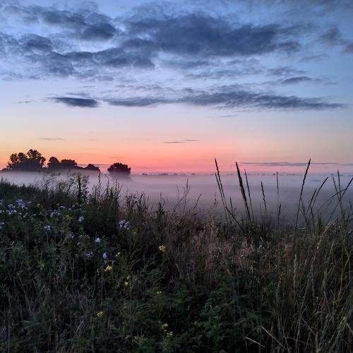 Photo #4865539