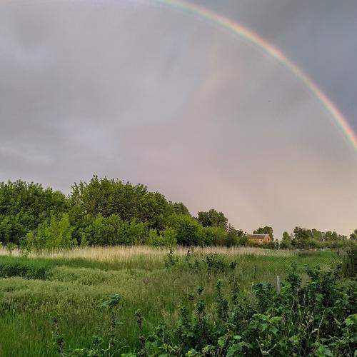 Photo #4865542