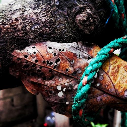 Photo #4865870