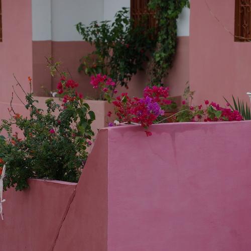 Photo #4865891