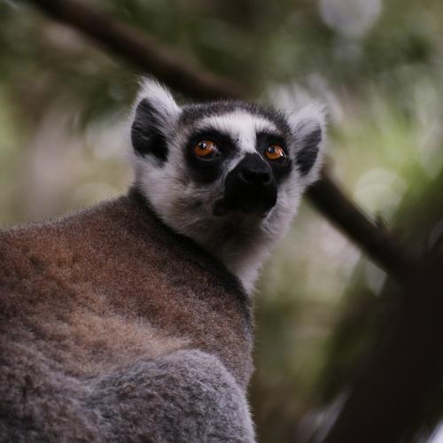 Photo #4865994