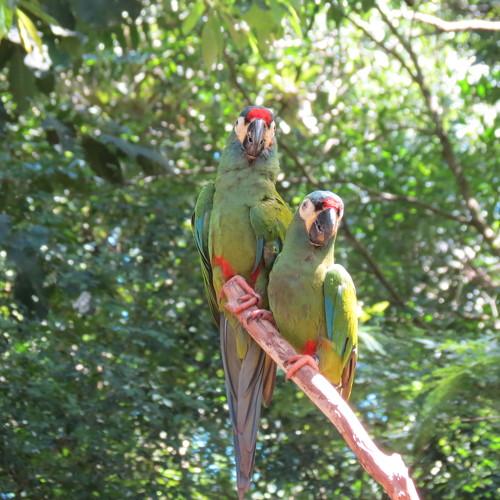 Photo #4866017