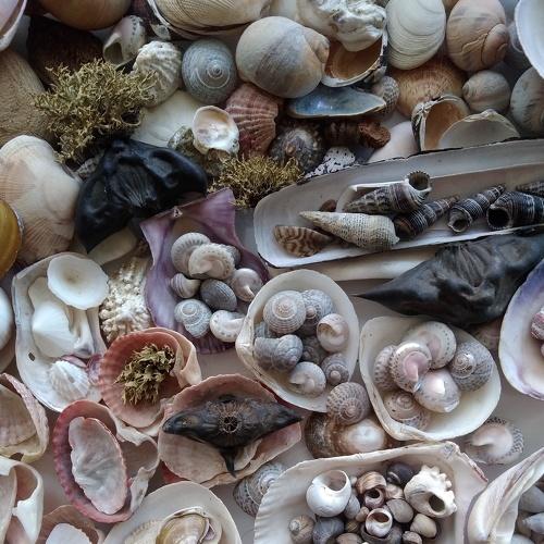 Photo #4866167