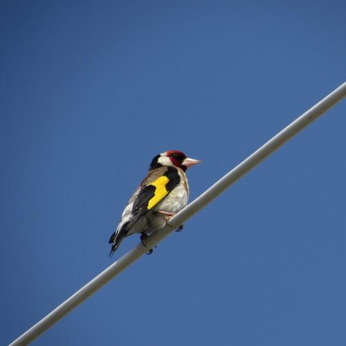 Photo #4866751